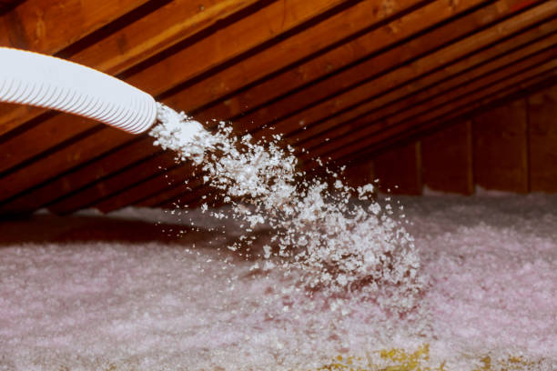 Types of Insulation We Offer in Westview, FL