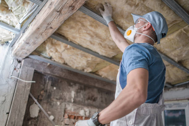 Best Specialized Insulation Services in Westview, FL