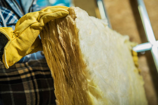 Best Blown-in Insulation in Westview, FL