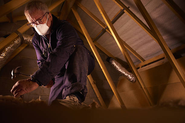 Trusted Westview, FL Insulation Contractor Experts