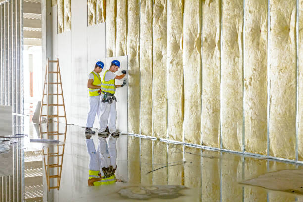 Best Energy Efficiency Insulation in Westview, FL